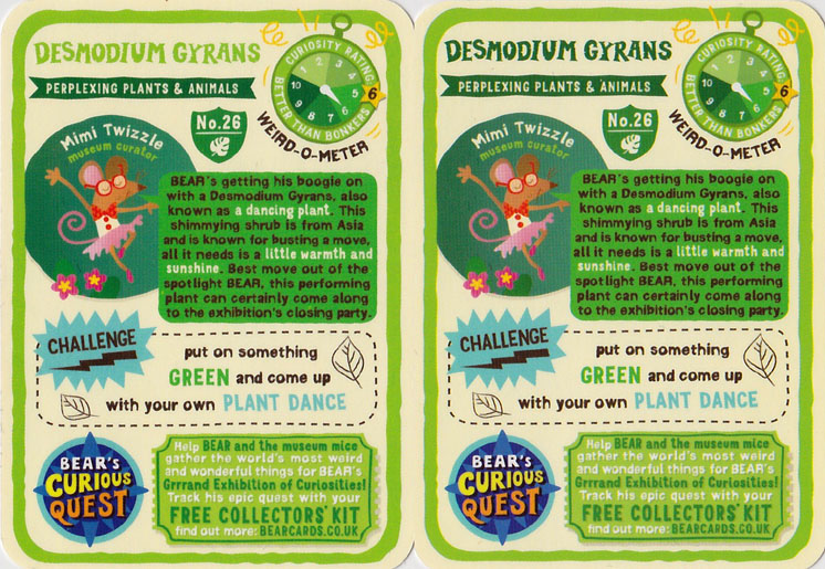 Yoyo Bear Quest card 26 variants